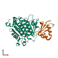 PDB entry 1jwb coloured by chain, front view.