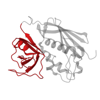 The deposited structure of PDB entry 1jwm contains 1 copy of CATH domain 2.40.50.110 (OB fold (Dihydrolipoamide Acetyltransferase, E2P)) in Enterotoxin type C-3. Showing 1 copy in chain D.