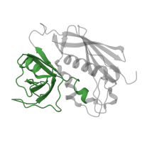 The deposited structure of PDB entry 1jwm contains 1 copy of Pfam domain PF01123 (Staphylococcal/Streptococcal toxin, OB-fold domain) in Enterotoxin type C-3. Showing 1 copy in chain D.