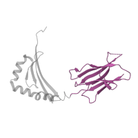 The deposited structure of PDB entry 1jws contains 1 copy of CATH domain 2.60.40.10 (Immunoglobulin-like) in HLA class II histocompatibility antigen, DRB1 beta chain. Showing 1 copy in chain B.
