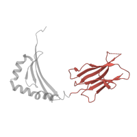 The deposited structure of PDB entry 1jws contains 1 copy of SCOP domain 48942 (C1 set domains (antibody constant domain-like)) in HLA class II histocompatibility antigen, DRB1 beta chain. Showing 1 copy in chain B.