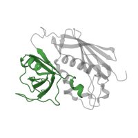 The deposited structure of PDB entry 1jws contains 1 copy of Pfam domain PF01123 (Staphylococcal/Streptococcal toxin, OB-fold domain) in Enterotoxin type C-3. Showing 1 copy in chain D.