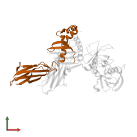 HLA class II histocompatibility antigen, DRB1 beta chain in PDB entry 1jws, assembly 1, front view.
