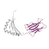 The deposited structure of PDB entry 1jwu contains 1 copy of CATH domain 2.60.40.10 (Immunoglobulin-like) in HLA class II histocompatibility antigen, DRB1 beta chain. Showing 1 copy in chain B.