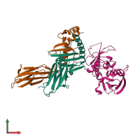 Hetero tetrameric assembly 1 of PDB entry 1jwu coloured by chemically distinct molecules, front view.