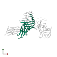 HLA class II histocompatibility antigen, DR alpha chain in PDB entry 1jwu, assembly 1, front view.