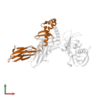 HLA class II histocompatibility antigen, DRB1 beta chain in PDB entry 1jwu, assembly 1, front view.