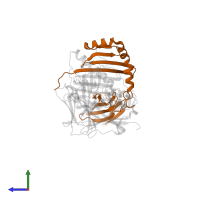 HLA class II histocompatibility antigen, DRB1 beta chain in PDB entry 1jwu, assembly 1, side view.