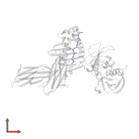 HA peptide in PDB entry 1jwu, assembly 1, front view.