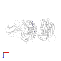 HA peptide in PDB entry 1jwu, assembly 1, top view.