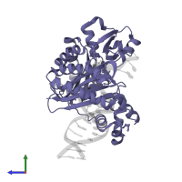DNA polymerase IV in PDB entry 1jx4, assembly 1, side view.