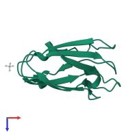 Plastocyanin A, chloroplastic in PDB entry 1jxg, assembly 2, top view.