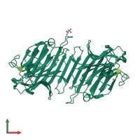 Homo dimeric assembly 2 of PDB entry 1jxn coloured by chemically distinct molecules, front view.