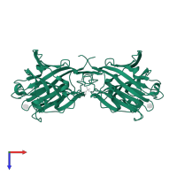 Anti-H(O) lectin 1 in PDB entry 1jxn, assembly 2, top view.