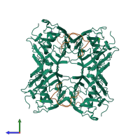 Hetero octameric assembly 2 of PDB entry 1jyc coloured by chemically distinct molecules, side view.