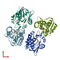 PDB entry 1jyl coloured by chain, front view.