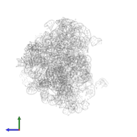 Large ribosomal subunit protein uL22 in PDB entry 1jzx, assembly 1, side view.