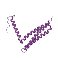 The deposited structure of PDB entry 1k04 contains 1 copy of SCOP domain 68994 (FAT domain of focal adhesion kinase) in Focal adhesion kinase 1. Showing 1 copy in chain A.