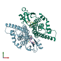 PDB entry 1k0a coloured by chain, front view.