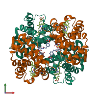 Hetero tetrameric assembly 1 of PDB entry 1k0y coloured by chemically distinct molecules, front view.