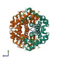 Hetero tetrameric assembly 1 of PDB entry 1k0y coloured by chemically distinct molecules, side view.
