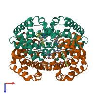 Hetero tetrameric assembly 1 of PDB entry 1k0y coloured by chemically distinct molecules, top view.
