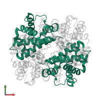 Hemoglobin subunit alpha in PDB entry 1k0y, assembly 1, front view.