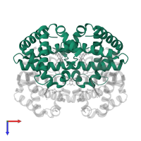 Hemoglobin subunit alpha in PDB entry 1k0y, assembly 1, top view.