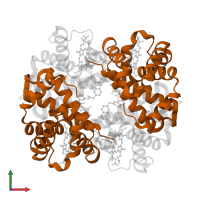 Hemoglobin subunit beta in PDB entry 1k0y, assembly 1, front view.