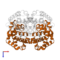 Hemoglobin subunit beta in PDB entry 1k0y, assembly 1, top view.