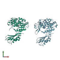 PDB entry 1k1q coloured by chain, front view.