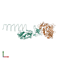 PDB entry 1k28 coloured by chain, front view.