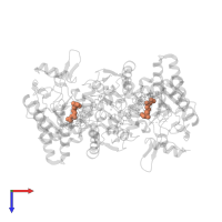 N-OMEGA-NITRO-L-ARGININE in PDB entry 1k2r, assembly 1, top view.