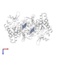 5,6,7,8-TETRAHYDROBIOPTERIN in PDB entry 1k2u, assembly 1, top view.