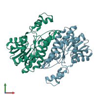 PDB entry 1k2w coloured by chain, front view.