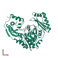 PDB entry 1k2y coloured by chain, front view.