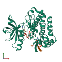 PDB entry 1k3a coloured by chain, front view.