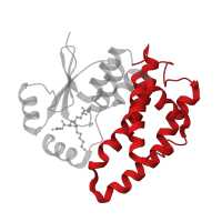 The deposited structure of PDB entry 1k3l contains 2 copies of CATH domain 1.20.1050.10 (Glutathione S-transferase Yfyf (Class Pi); Chain A, domain 2) in Glutathione S-transferase A1. Showing 1 copy in chain A.