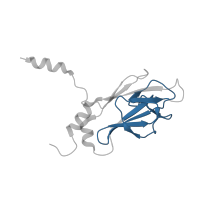 The deposited structure of PDB entry 1k3n contains 1 copy of Pfam domain PF00498 (FHA domain) in Serine/threonine-protein kinase RAD53. Showing 1 copy in chain A.