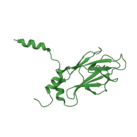 The deposited structure of PDB entry 1k3n contains 1 copy of SCOP domain 49885 (FHA domain) in Serine/threonine-protein kinase RAD53. Showing 1 copy in chain A.