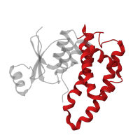 The deposited structure of PDB entry 1k3o contains 2 copies of CATH domain 1.20.1050.10 (Glutathione S-transferase Yfyf (Class Pi); Chain A, domain 2) in Glutathione S-transferase A1. Showing 1 copy in chain B.