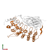 NF-kappa-B inhibitor beta in PDB entry 1k3z, assembly 1, front view.