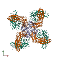 Hetero dodecameric assembly 1 of PDB entry 1k4c coloured by chemically distinct molecules, front view.