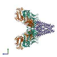 Hetero dodecameric assembly 1 of PDB entry 1k4c coloured by chemically distinct molecules, side view.