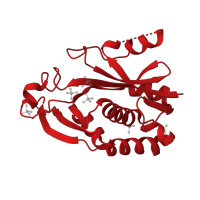 The deposited structure of PDB entry 1k4j contains 1 copy of CATH domain 3.40.630.30 (Aminopeptidase) in Acyl-homoserine-lactone synthase. Showing 1 copy in chain A.