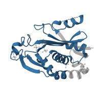 The deposited structure of PDB entry 1k4j contains 1 copy of Pfam domain PF00765 (Autoinducer synthase) in Acyl-homoserine-lactone synthase. Showing 1 copy in chain A.