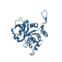 The deposited structure of PDB entry 1k4o contains 1 copy of Pfam domain PF00926 (3,4-dihydroxy-2-butanone 4-phosphate synthase) in 3,4-dihydroxy-2-butanone 4-phosphate synthase. Showing 1 copy in chain A.