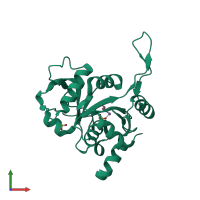 PDB entry 1k4o coloured by chain, front view.