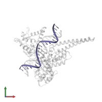 5'-D(*AP*AP*AP*AP*AP*TP*TP*TP*TP*TP*CP*CP*AP*AP*GP*TP*CP*TP*TP*TP*TP*T)-3' in PDB entry 1k4t, assembly 1, front view.