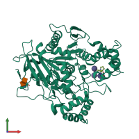 PDB entry 1k4y coloured by chain, front view.